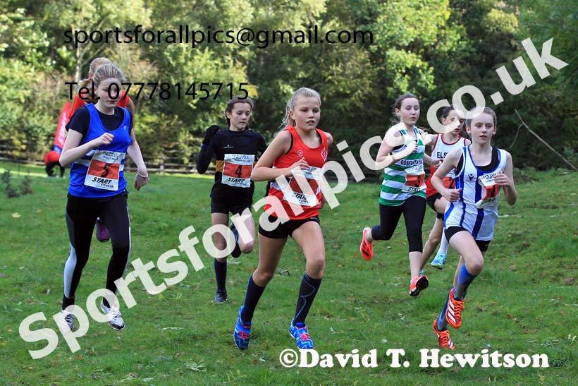 Girls under-13s, 2022 NECAA Cross Country Relays, Thornley Hall Farm, Peterlee, County Durham, October 15th. Photo: David T. Hewitson/Sports for All Pics